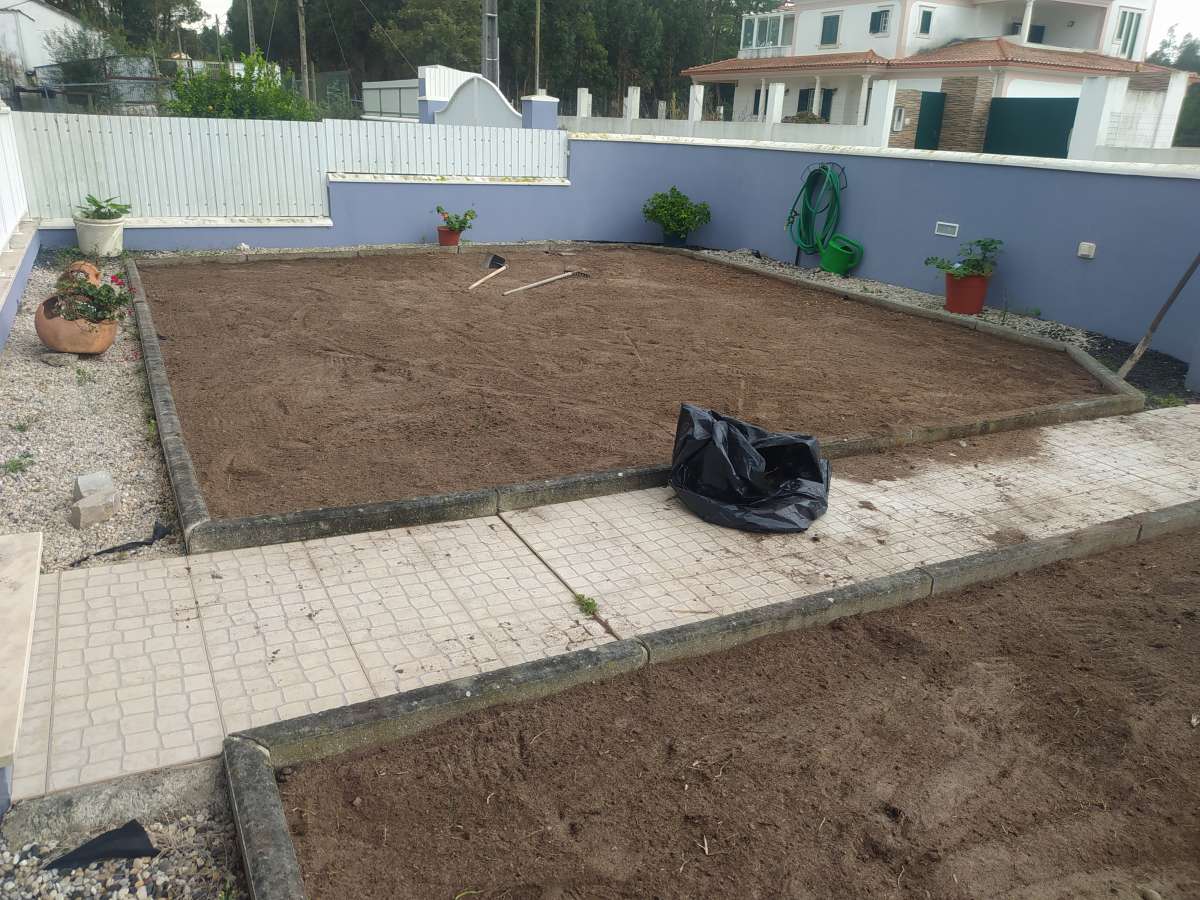 DS REPARA - Óbidos - Tree Planting