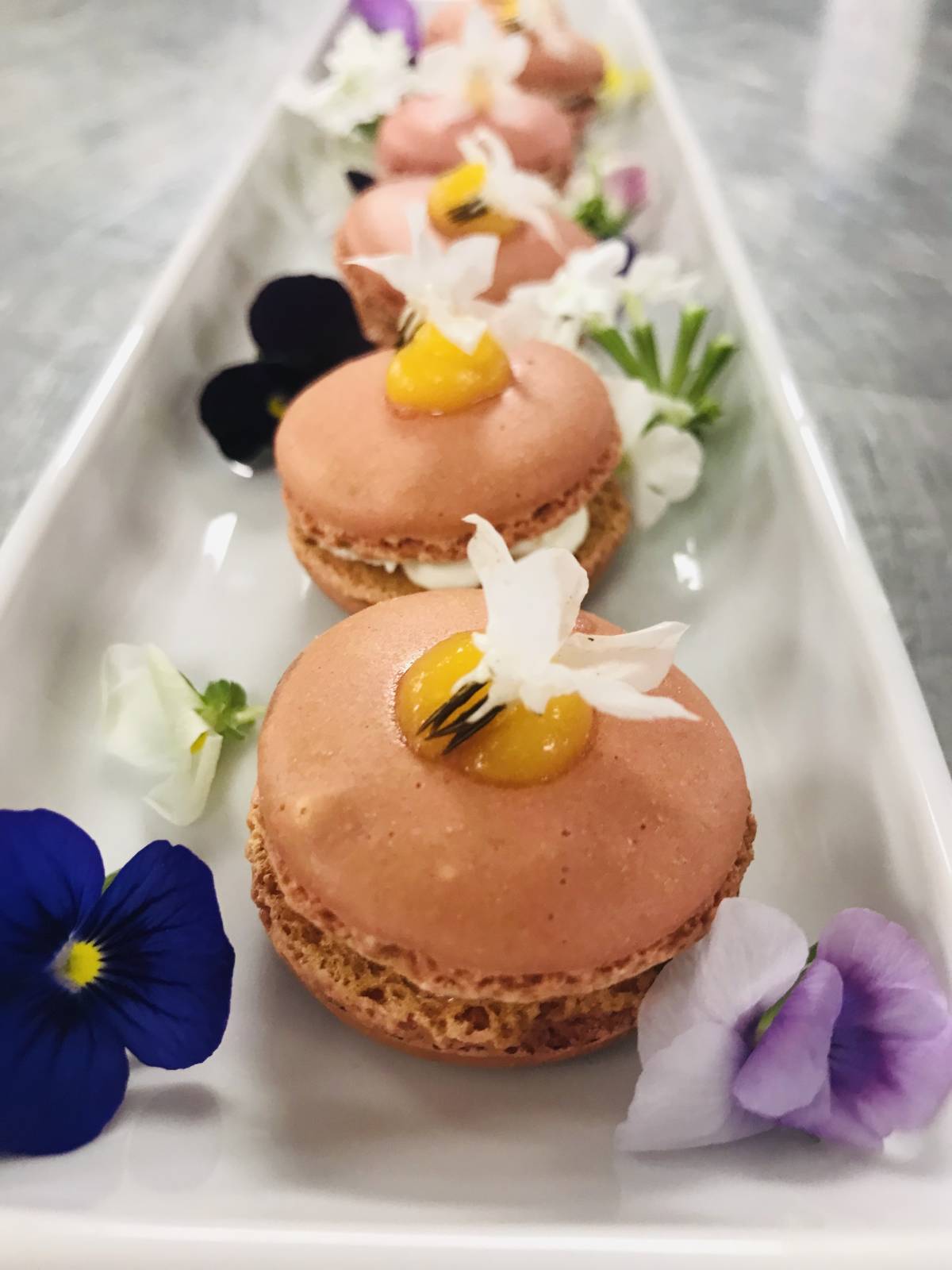 Rose Reis - Loures - Personal Chefs e Cozinheiros
