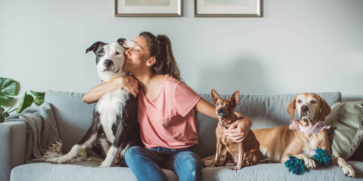 Pet Sitting e Pet Walking - Seixal - Haustierpflege