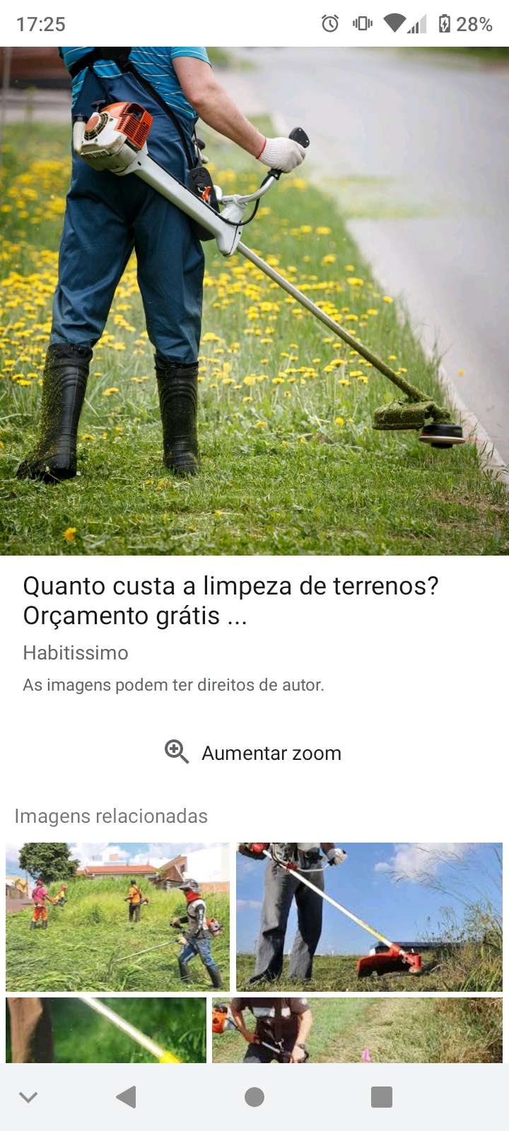 José - Paredes - Shrub Removal
