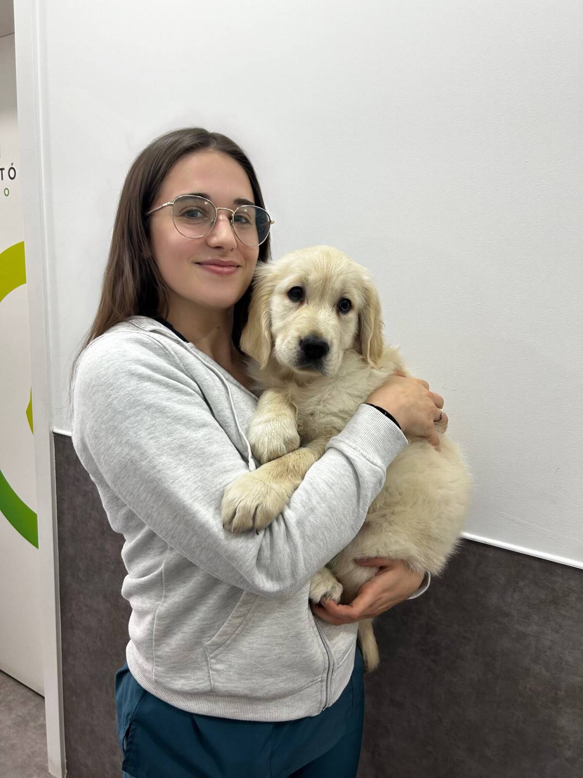 Soraia Poço - Braga - Dog Sitting