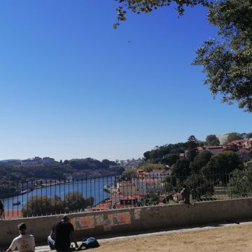Ricardo Almeida - Matosinhos - Tours e Provas de Vinhos