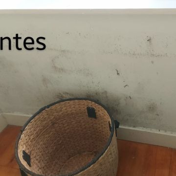 Bem Limpinho - Seixal - Limpeza de Janelas