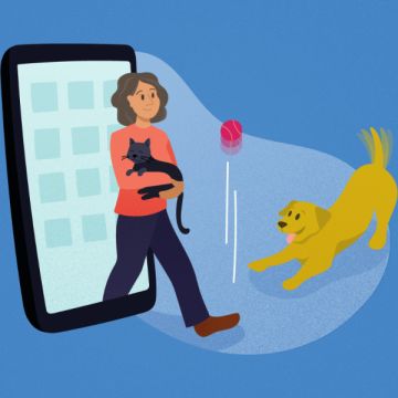 Pet Sitting e Pet Walking - Seixal - Pet Sitting