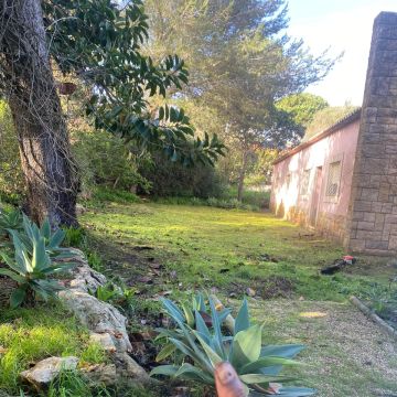 A.AJardins Obras & Controções - Montemor-o-Velho - Lawn Mowing and Trimming