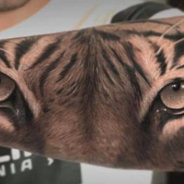 Tattoo Power - Estúdio de Tatuagens Porto - Matosinhos - Matosinhos - Tatuadores
