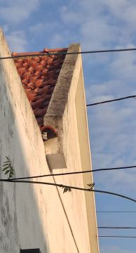 Exterior Painter
