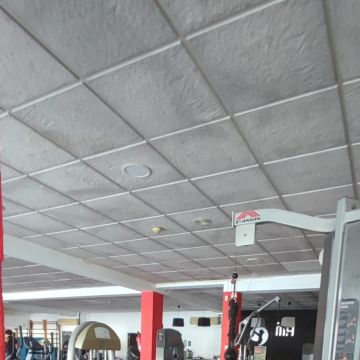 Alexandre Barreto - Barreiro - Party Equipment Rentals