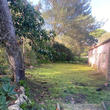 A.AJardins Obras & Controções - Montemor-o-Velho - Multi Service Lawn Care
