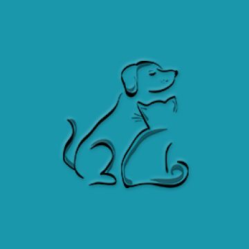 Pet Sitting e Pet Walking - Seixal - Haustierpflege