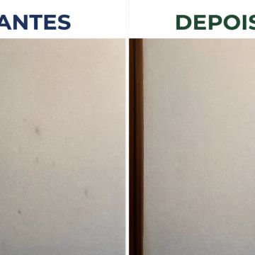 Marta Carvalho - Santarém - Limpeza de Propriedade