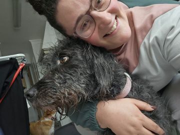 Mimos e Patas - Loures - Cuidar tus perros