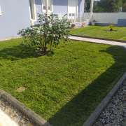 DS REPARA - Óbidos - Weeding