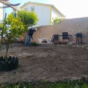 DS REPARA - Óbidos - Tree Stump Grinding and Removal