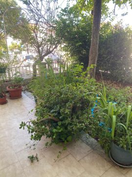 Jardinagem
