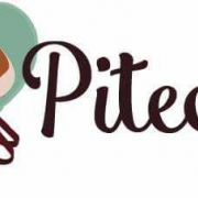 Pitecos - Dog Walker & Pet Sitter - Aveiro - Hotel e Creche para Animais
