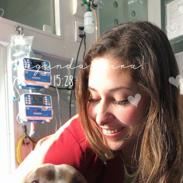 Leticia Porto - Coimbra - Hundetagesstätte (Hundesitter)