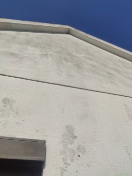Painting - Home Improvements