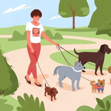 Pet Sitting e Pet Walking - Seixal - Hundesitter