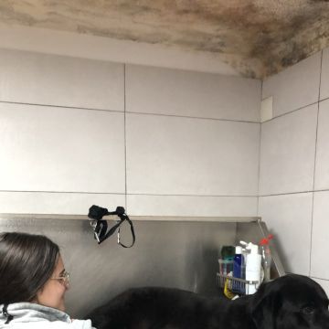 Soraia Poço - Braga - Pet Sitting