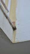 Exterior Painter - Home Improvements