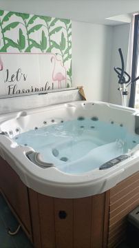 Técnico (Reparação de Jacuzzi e Spa)
