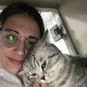 Soraia Poço - Braga - Cat Sitting
