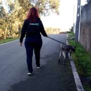 Dogsbuddy - Anadia - Dog Walking