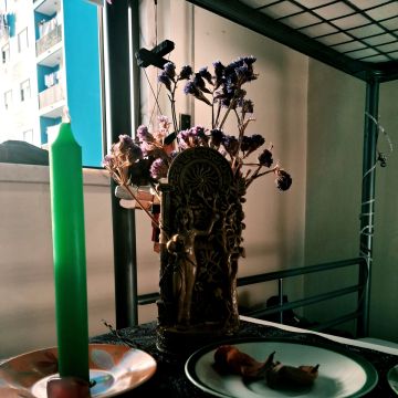 Trix - Odivelas - Leitura de Cartas de Tarot