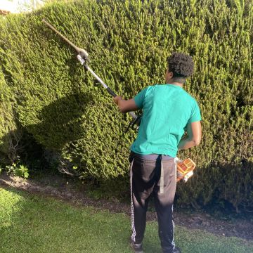 A.AJardins Obras & Controções - Montemor-o-Velho - Tree Stump Grinding and Removal