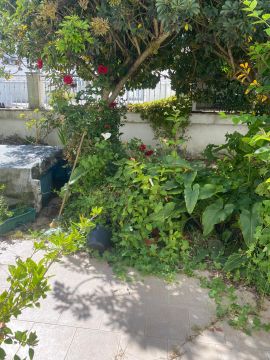 Serviço de Jardinagem - Casa