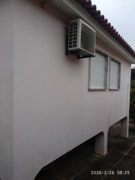 Pintura
