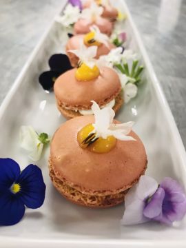 Rose Reis - Loures - Personal Chefs e Cozinheiros