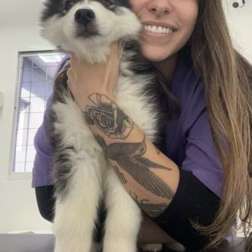 Leticia Porto - Coimbra - Katzensitter