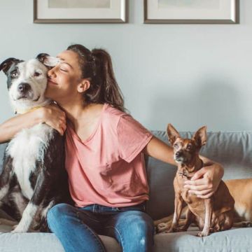 Pet Sitting e Pet Walking - Seixal - Haustierpflege