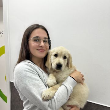 Soraia Poço - Braga - Dog Sitting