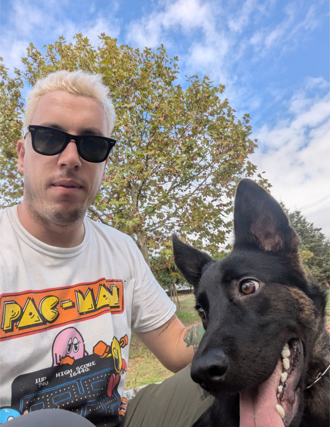 Fausto Ferreira - Koola Ate Training - Almada - Dog Walking