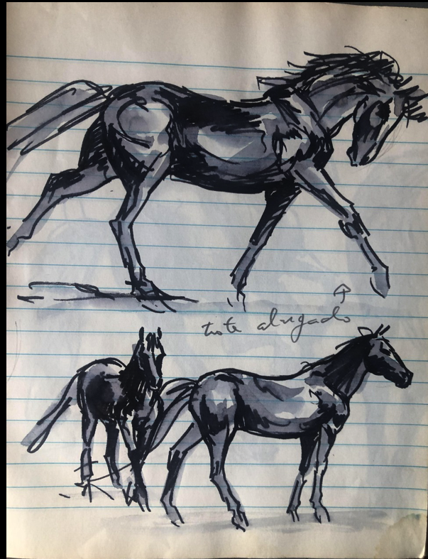 Dora Sousa Santos - Lisboa - Drawing Lessons
