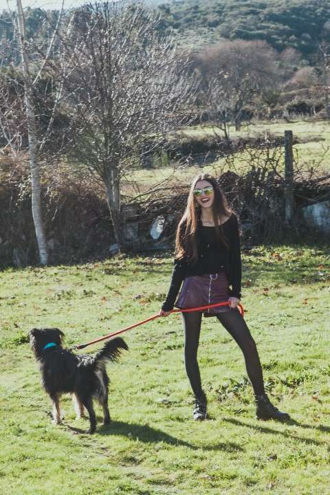 Bruna - Odivelas - Hotel para Cães