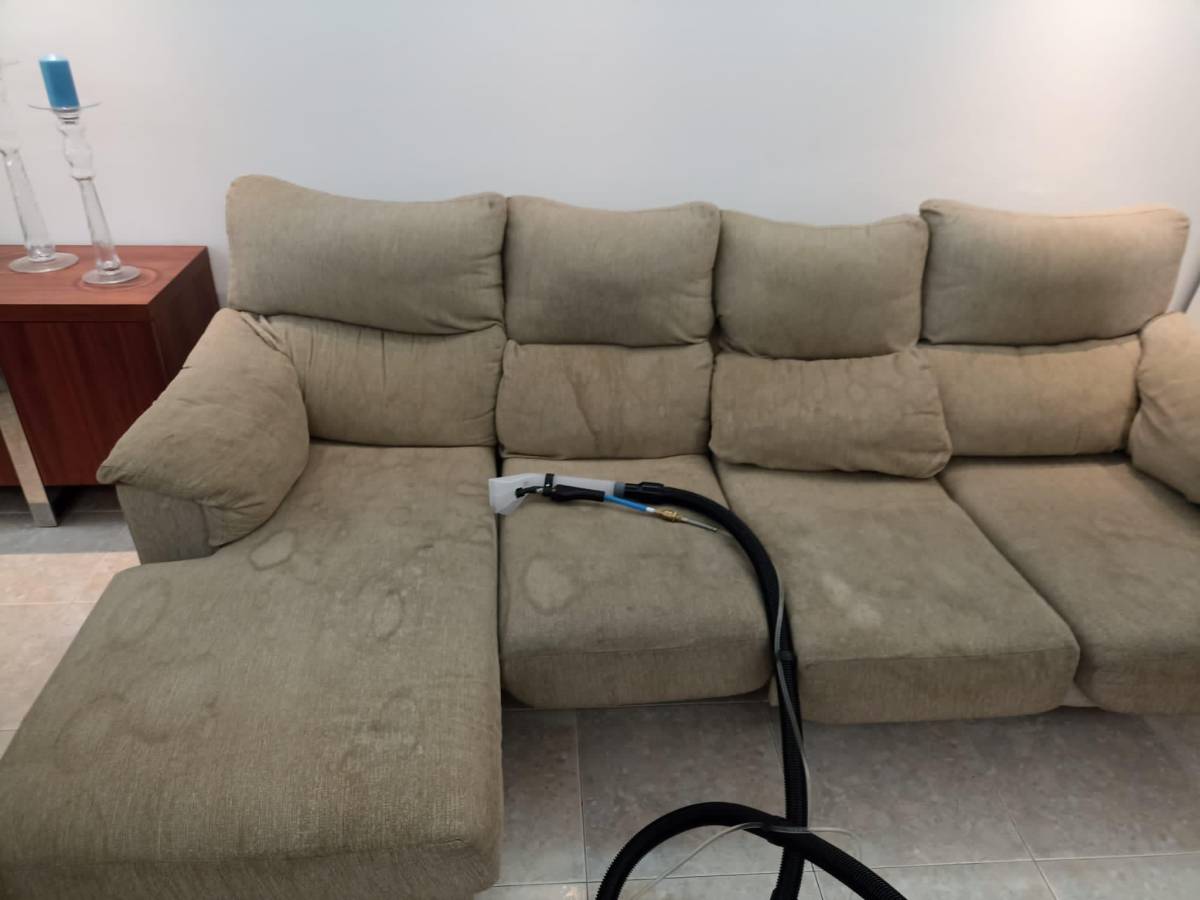 Limpeza Geral Hjpp - Seixal - Baumpflege