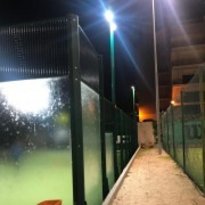 Sports evolution - Sintra - Tree Trimming and Maintenance