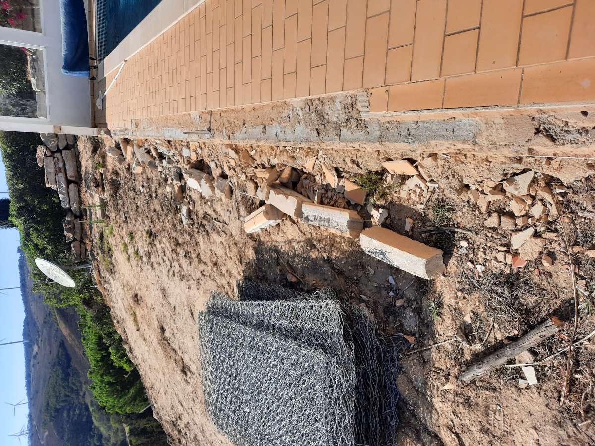 Silvando - Albufeira - Tree Stump Grinding and Removal