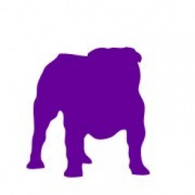 Bulldogs Casa Tejo - Torres Novas - Pet Boarding and Daycare