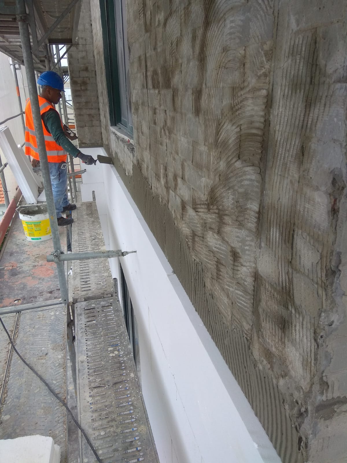 Ceptro Construções - Matosinhos - Tree Trimming and Maintenance