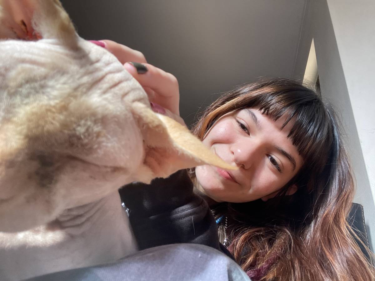 Laura - Faro - Cat Sitting