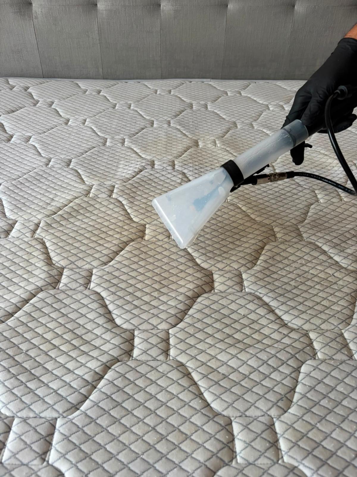 Limpa Mestre - Vila do Conde - Rug Cleaning