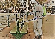 Manuel de Jesus - Vila do Conde - Pest Control Services