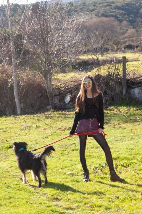 Bruna - Odivelas - Dog Walking