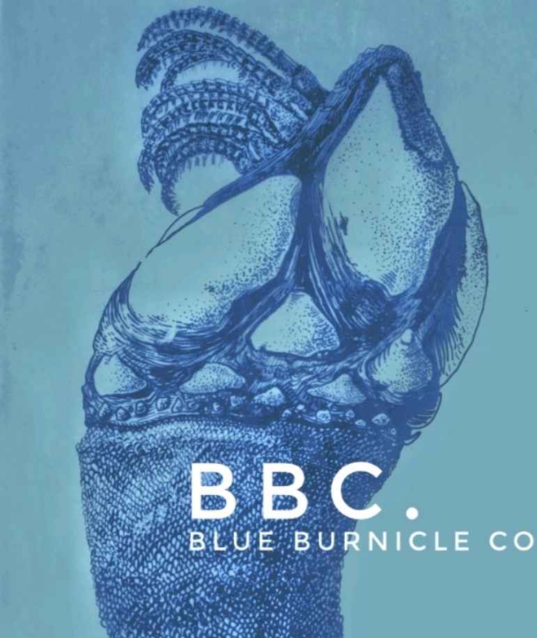Blue_Burnicle_Chef_at_home - Sintra - Organização de Eventos