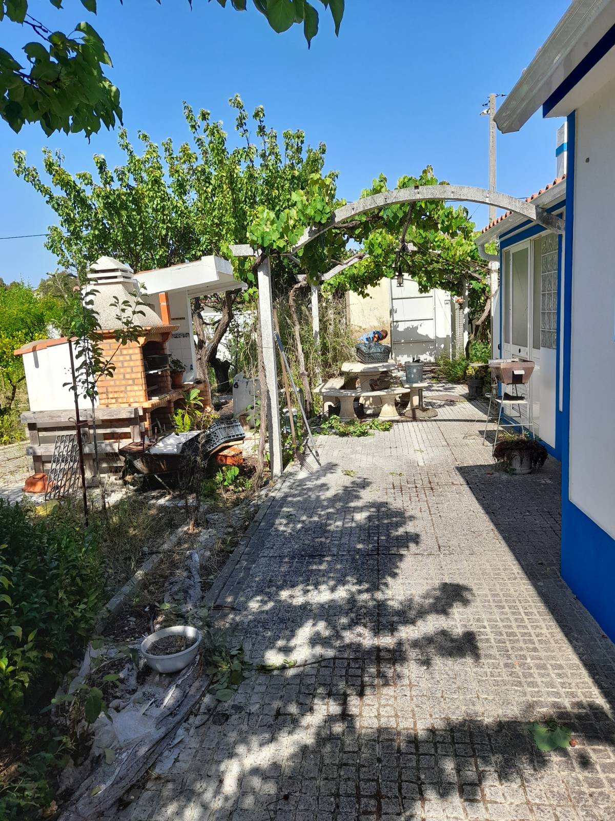 Garcia - Palmela - Entfernung von Gebüsch- und Baumaufwuchs